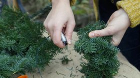 Adventkranz binden, © MSG/Martin Staffler Adventkranz binden, © MSG/Martin Staffler