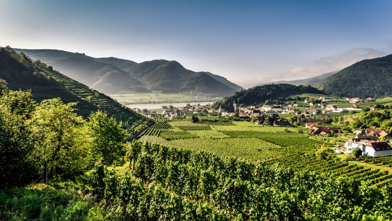 Spitz surrounded by vineyards, © Robert Herbst Spitz surrounded by vineyards, © Robert Herbst