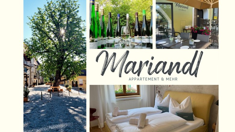 Mariandl Apartment, © @KR Collage with tree, wine bottles, café terrace and hotel room.