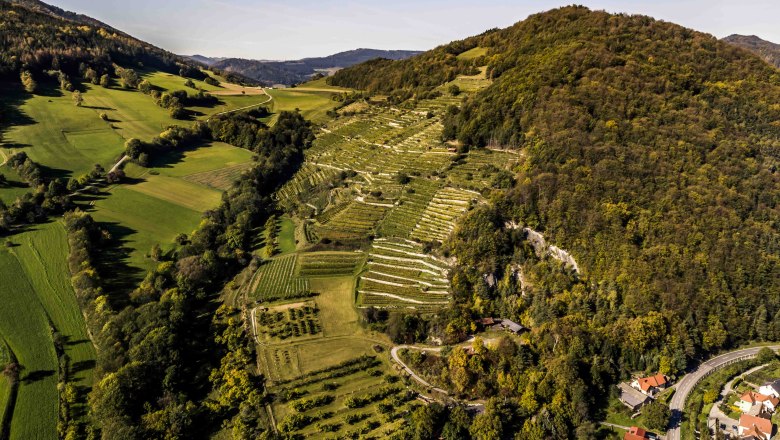 Ried Trenning, © Robert Herbst Ried Trenning, © Robert Herbst