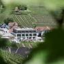 Boutiquehotel "Das WeinSpitz", © © photography_pfeffel_at Boutiquehotel umgeben von Weinbergen.