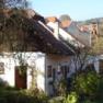 Pferdehof Kranzer, © Kranzer Ein ländliches Gebäude mit weißen Wänden und roten Ziegeldächern, umgeben von Bäumen und Büschen.
