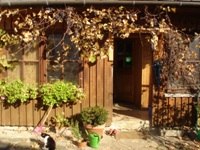 Pferdehof Kranzer, © Kranzer Eingang eines rustikalen Holzhauses mit Pflanzen und Katze.