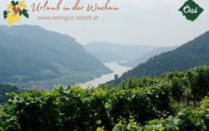Panorama, © Özelt Panoramablick auf die Wachau mit Weinbergen und der Donau im Hintergrund.