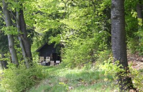 waldschule-hauschen_klein_c_marcus-zuba, © Marcus Zuba waldschule-hauschen_klein_c_marcus-zuba, © Marcus Zuba