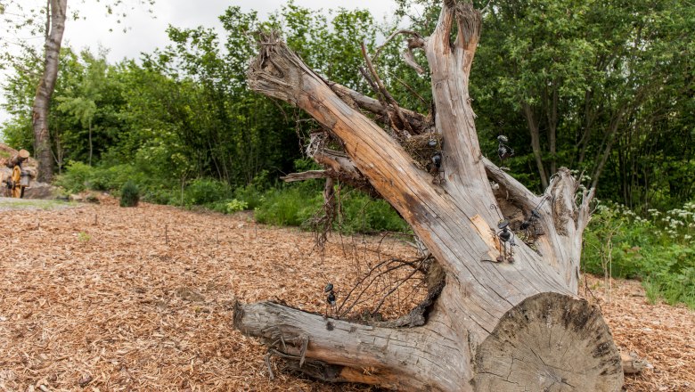 Ameisen aus Eisen, © Aigner Christoph Ameisen aus Eisen, © Aigner Christoph