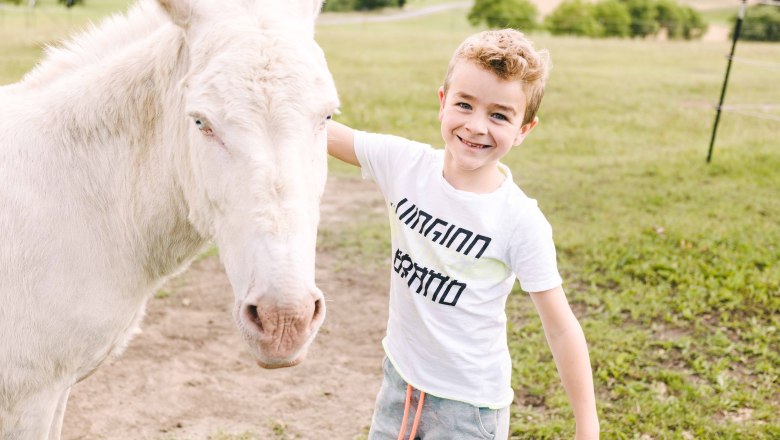 Wachau donkey adventure, © Niederösterreich Werbung / Stefan Fürtbauer Wachau donkey adventure, © Niederösterreich Werbung / Stefan Fürtbauer