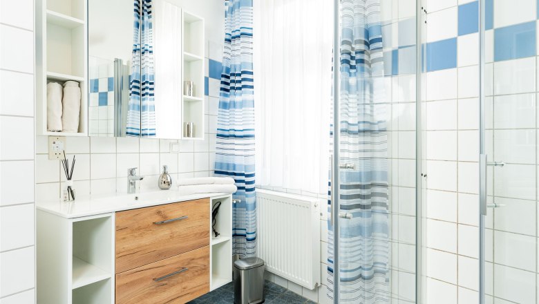 Bathroom, © Georg Pomassl Modern bathroom with wooden cabinet, mirror, shower curtain and tiles.
