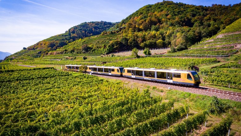 Wachau Railway between the vineyards, © NÖVOG_Kerschbaummayr Wachau Railway between the vineyards, © NÖVOG_Kerschbaummayr