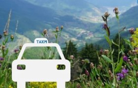 Webgrafik Jauerling-Sammeltaxi, © Angelika Schöbinger-Trauner Webgrafik Jauerling-Sammeltaxi, © Angelika Schöbinger-Trauner