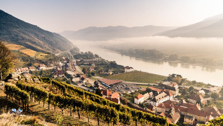 Ausblick vom Tausendeimerberg in Spitz im Herbst, © Robert Herbst Herbstlicher Ausblick vom Tausendeimerberg in Spitz mit Weinbergen, Dorf und Fluss.