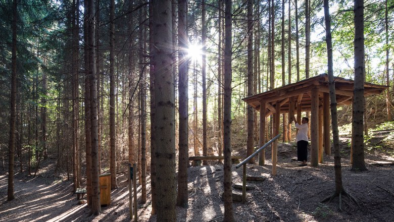 Kraftweg in Maria Laach am Jauerling, © Lachlan Blair Kraftweg in Maria Laach am Jauerling, © Lachlan Blair