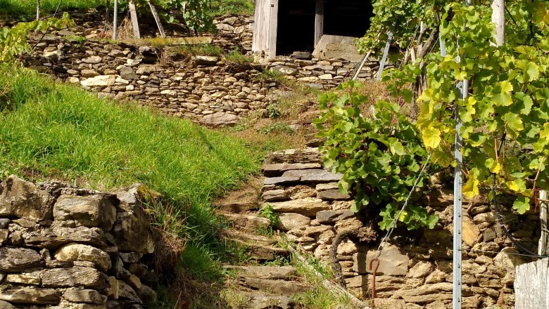 Unterwegs am Panoramaweg Spitzer Graben, © Donau NÖ: Heidi Schauer-Leberzipf Unterwegs am Panoramaweg Spitzer Graben, © Donau NÖ: Heidi Schauer-Leberzipf