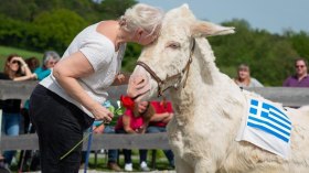 Eselolympiade, © Anita Brunner Eselolympiade, © Anita Brunner
