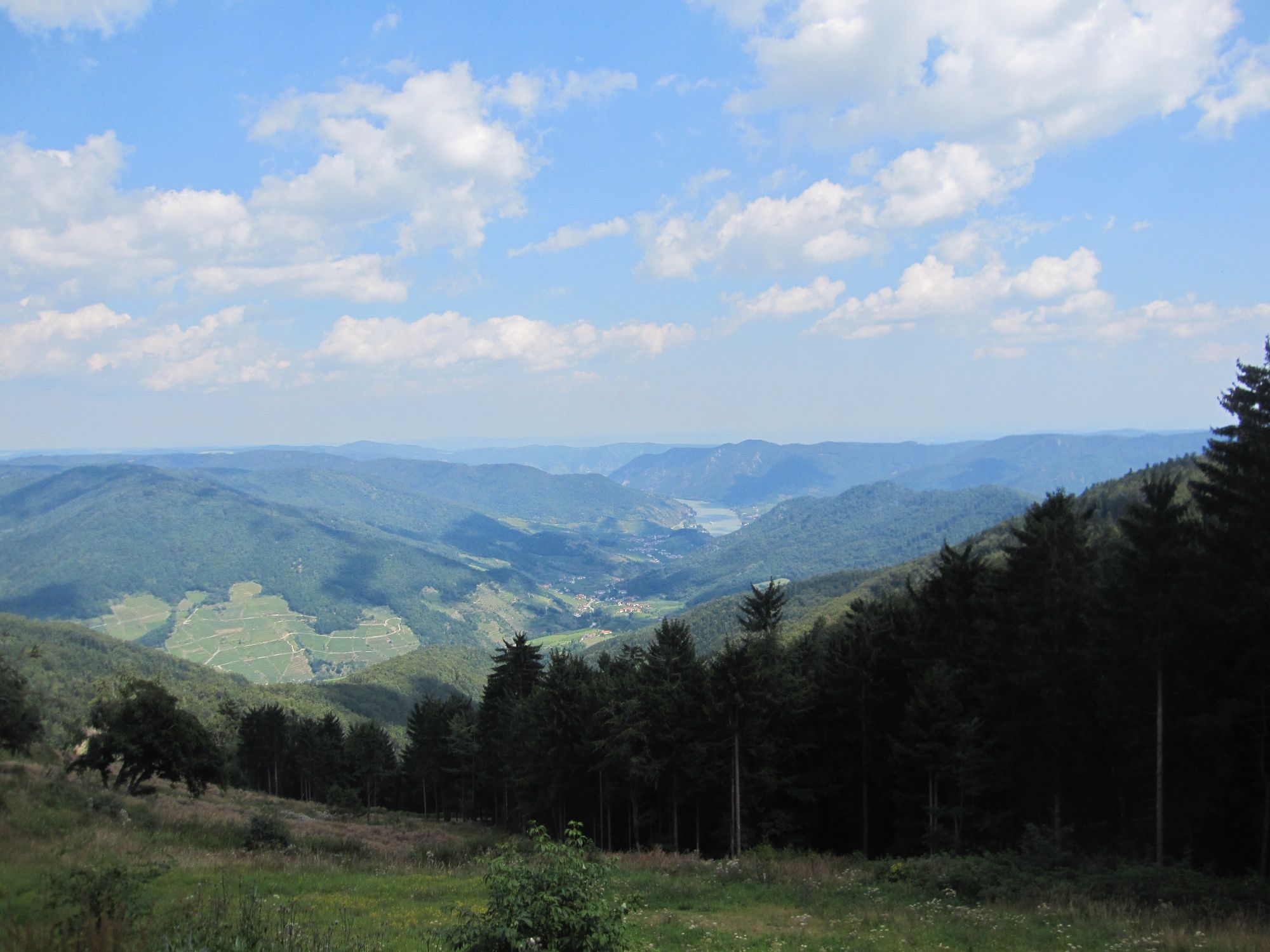 Aussicht zur Donau Richtung Spitzer Graben