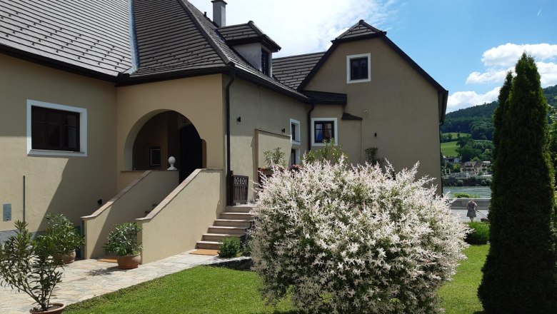 Entrance area of a house with garden and flowering shrub.