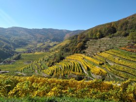 View from the Spitzer Panorama Trail, &copy; Donau N&Ouml; Tourismus/HS