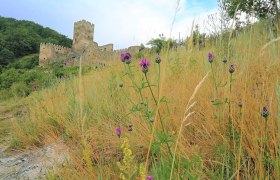 Jauerling-Runde 01: Spitz-Aggsbach Markt, &copy; Naturpark Jauerling-Wachau