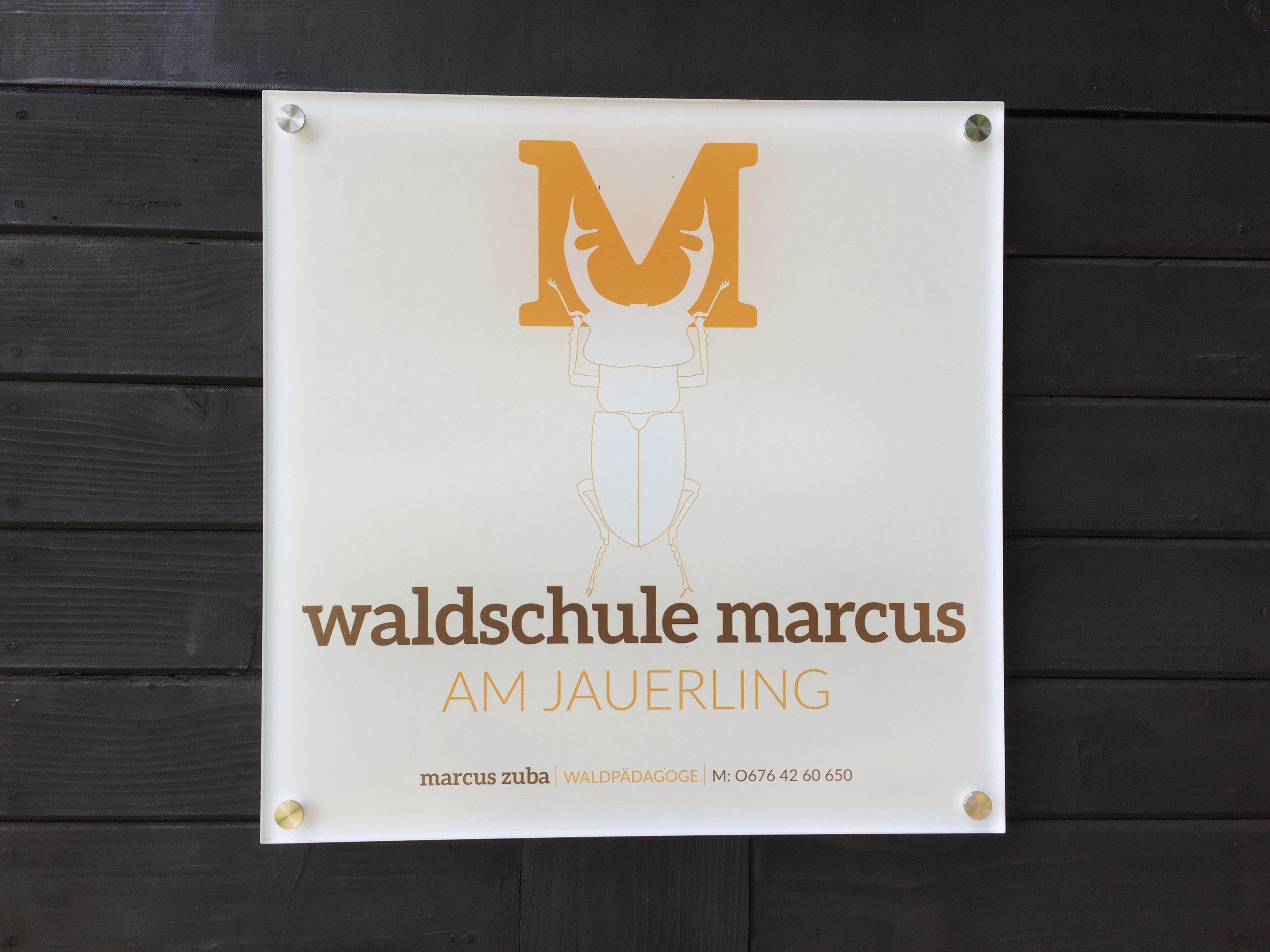 waldschule-marcus-am-jauerling_logo_c_marcus-zuba
