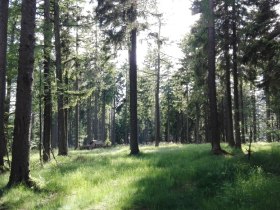 High plateau at the Jauerling summit, &copy; Naturpark Jauerling-Wachau
