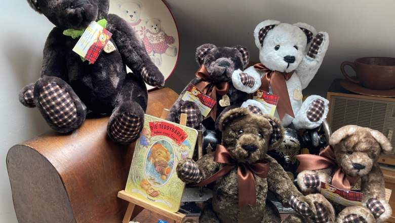 Eine Sammlung von Teddybären auf einem Tisch, umgeben von Dekorationen und einem Buch über Teddybären.