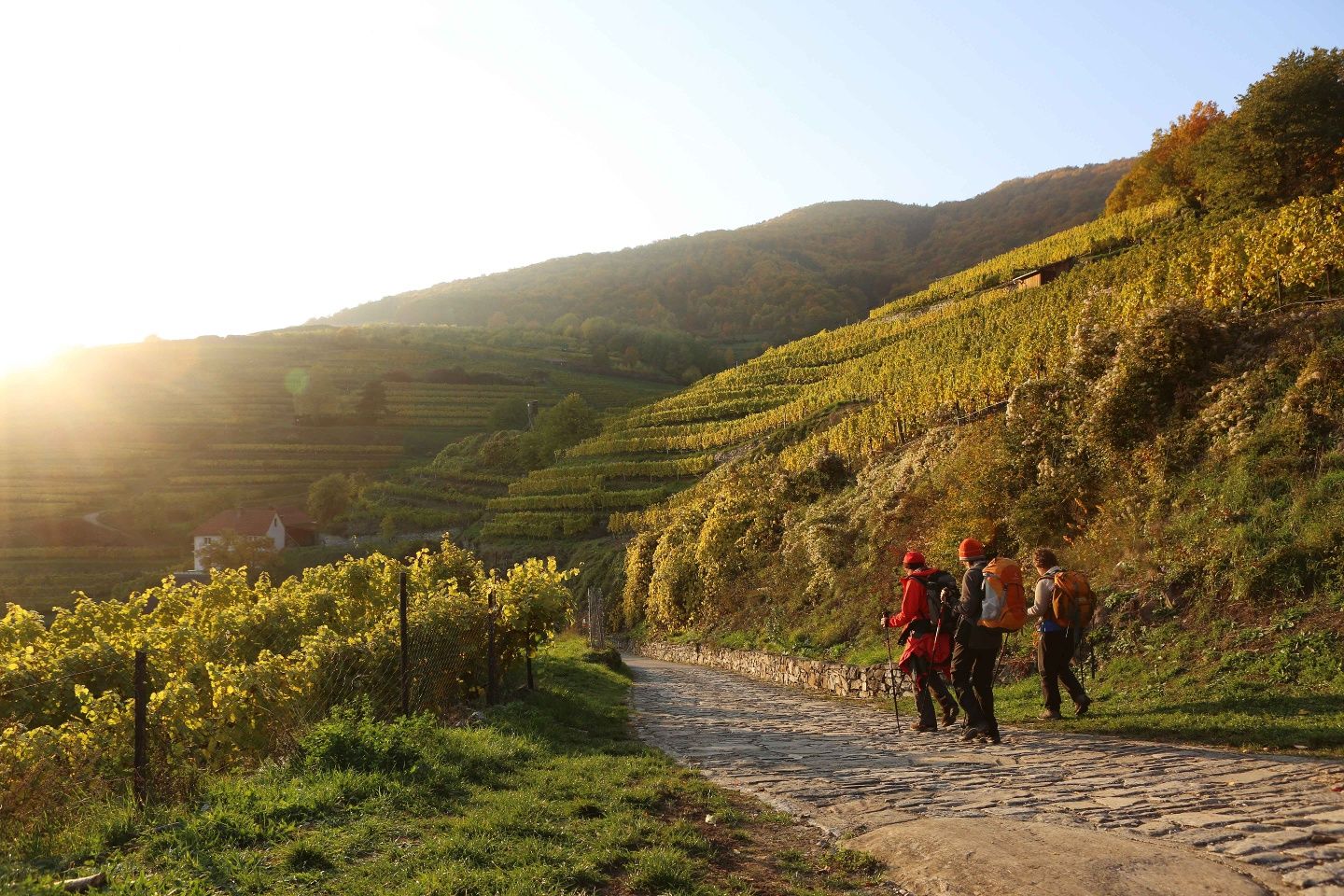 Wanderweg beim Roten Tor in Spitz