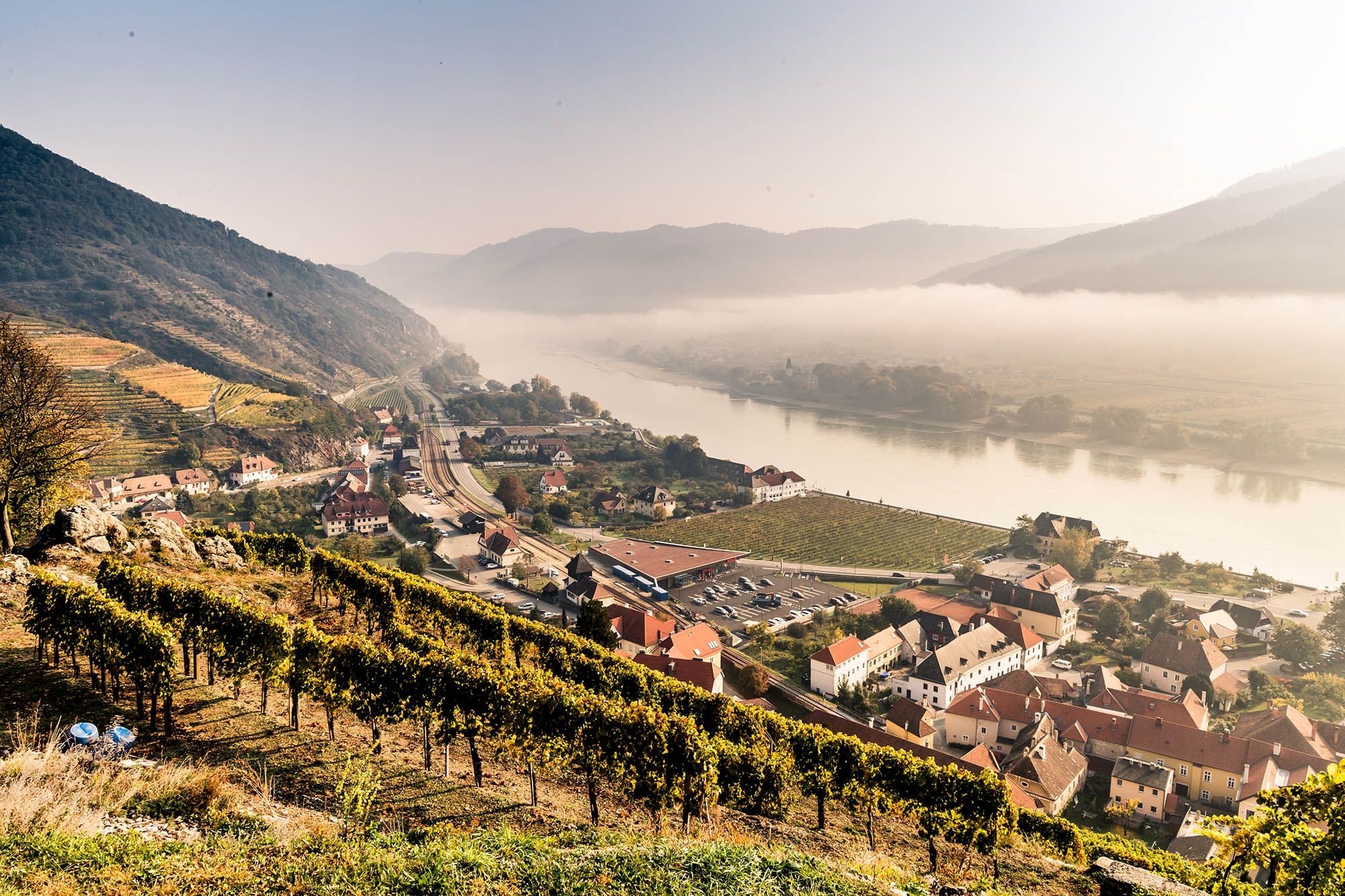Weinbauort Spitz im Herbst