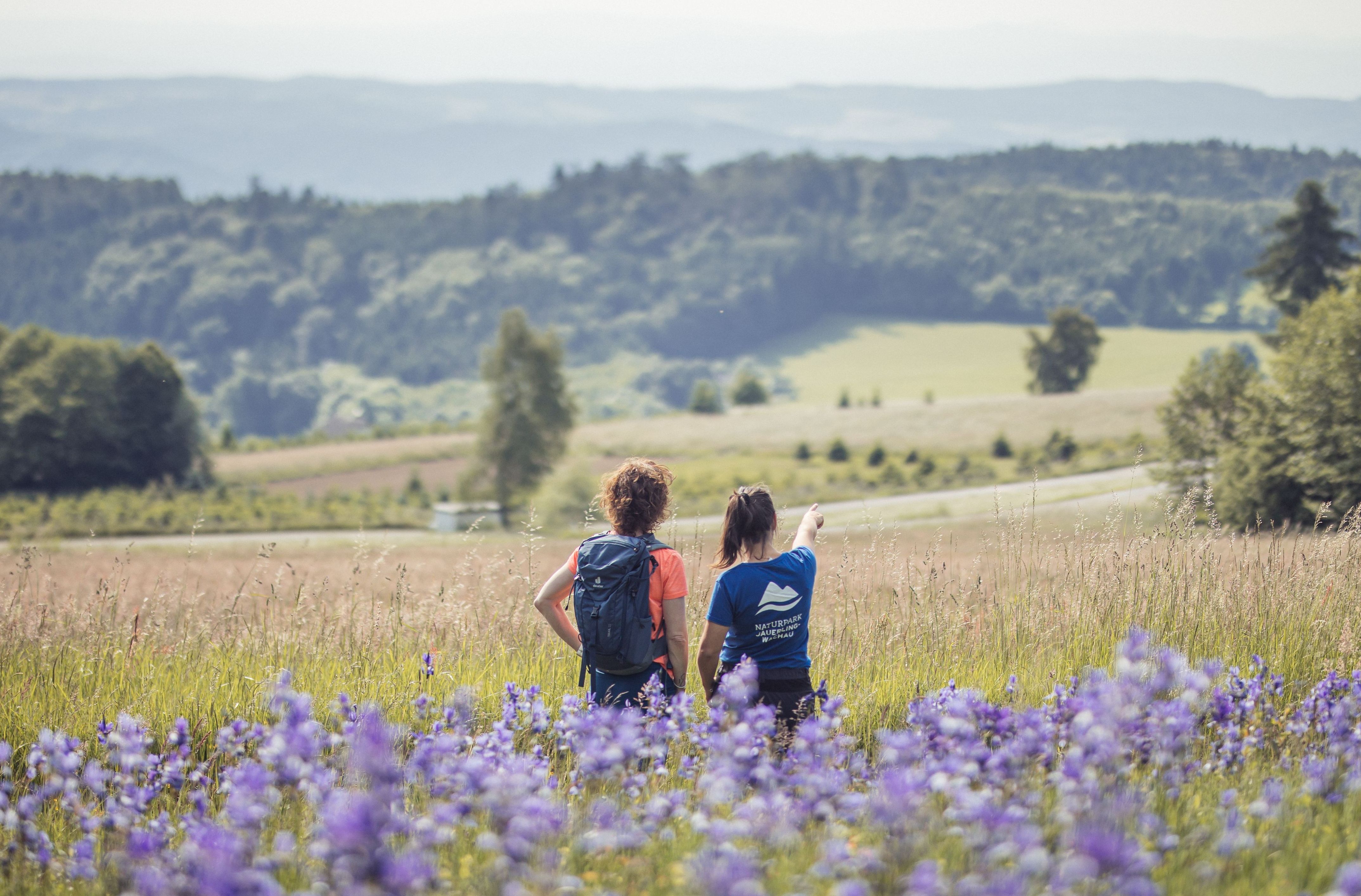 Eine Mitarbeiterin des Jauerlings Steht neben einem Wanderer auf einer Blumenbewachsenen Wiese und deutet in die Ferne. 