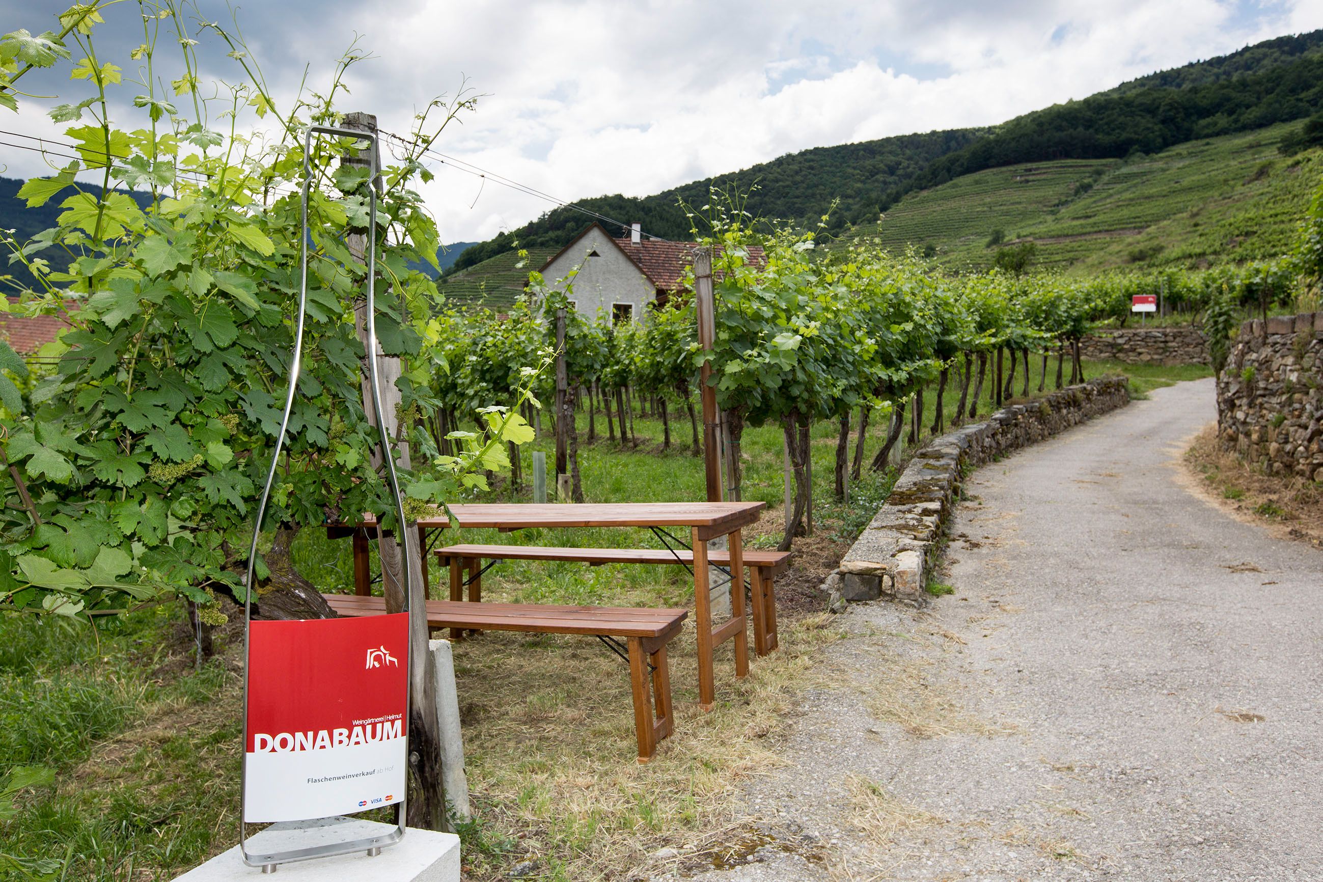 Wanderweg beim Weingut Donabaum Helmut