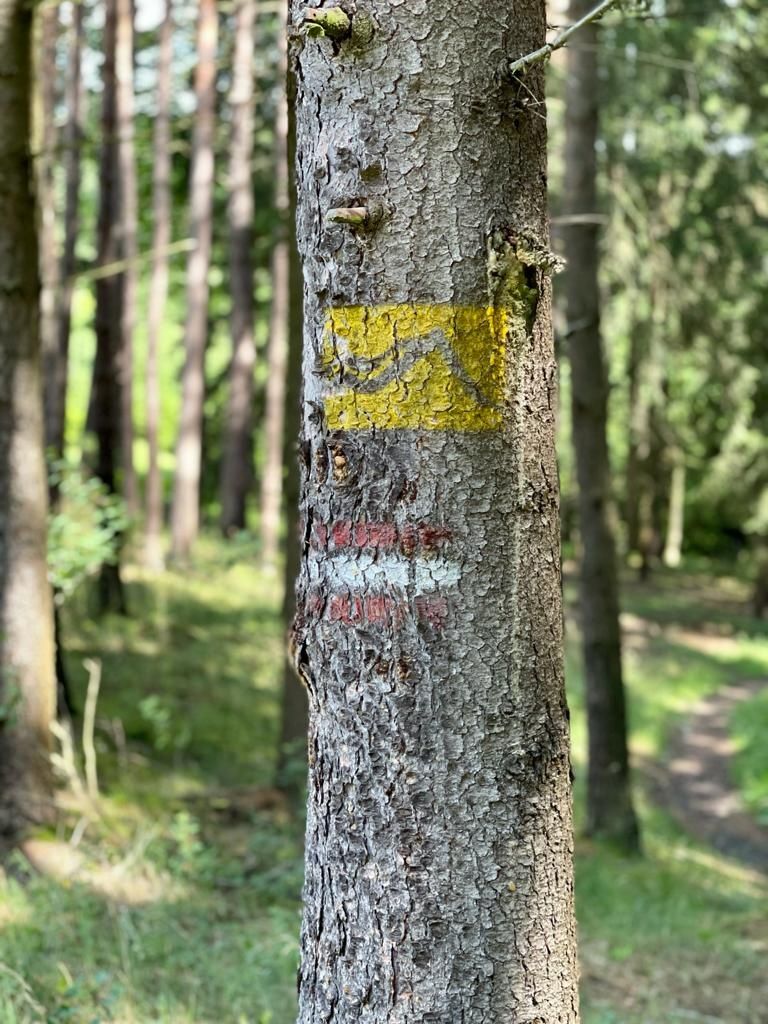 Jauerling-Runde 06: Raxendorf-Mühldorf