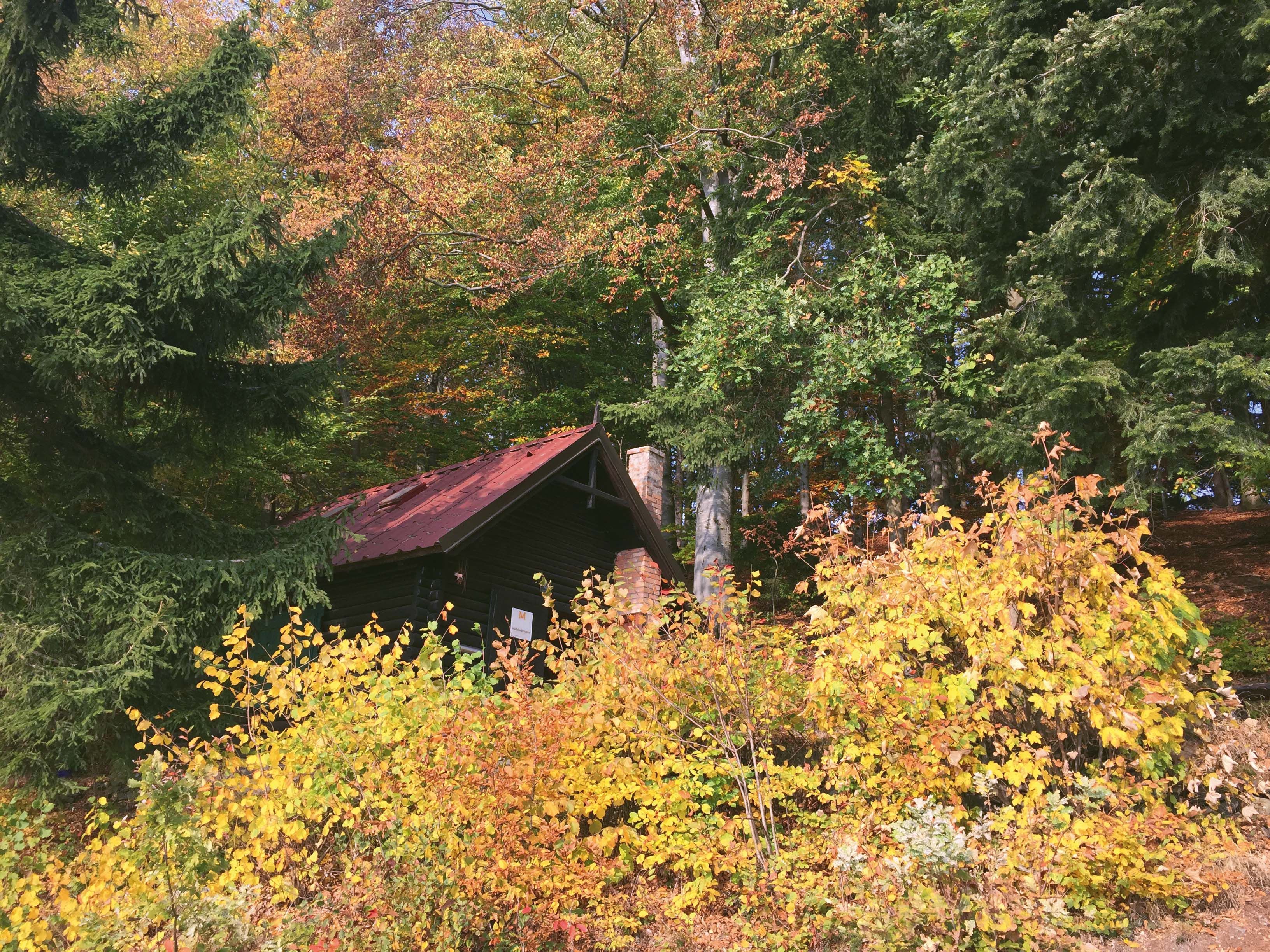 waldschule_herbst_klein_c_marcus-zuba
