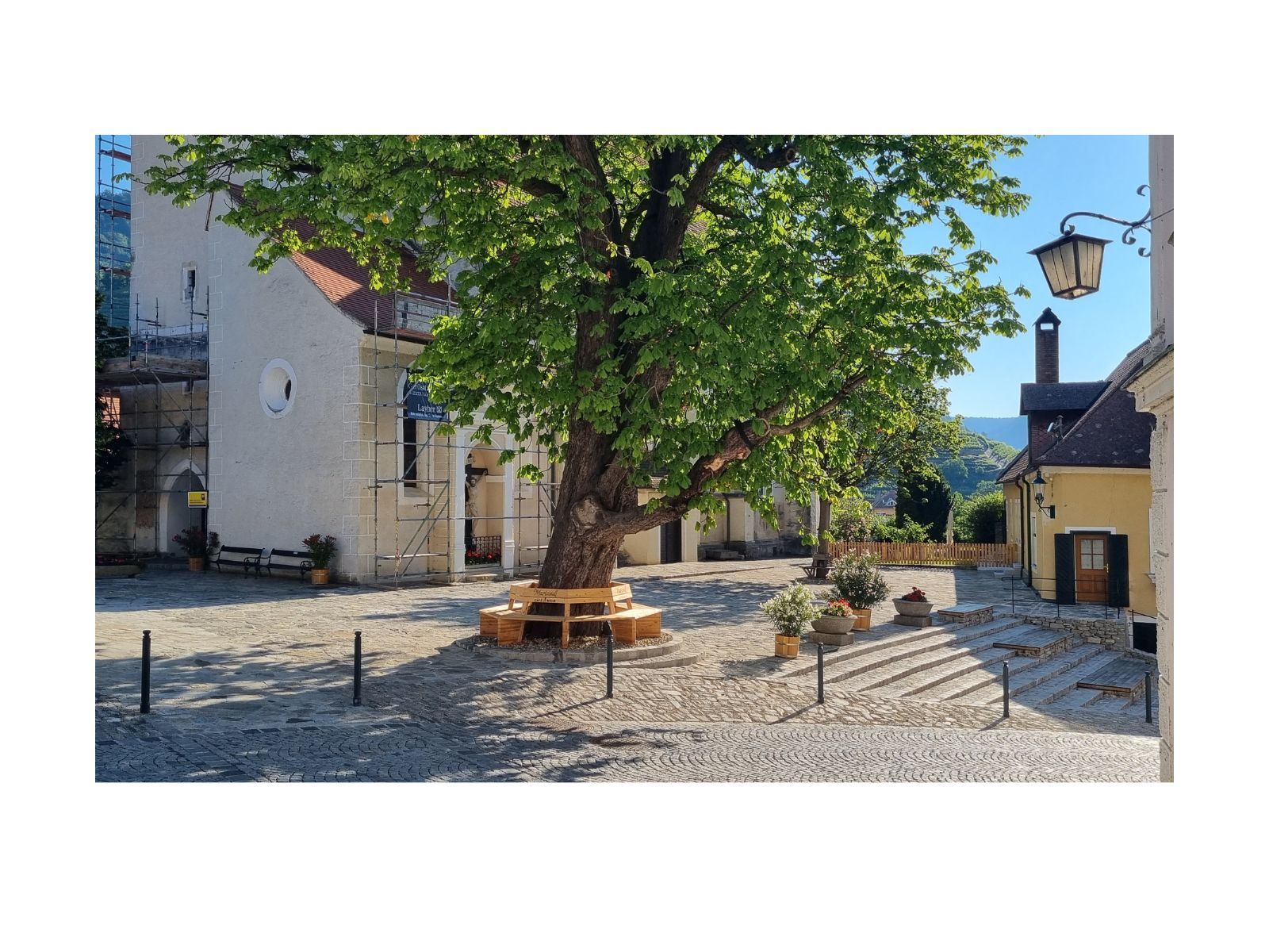 Ein sonniger Kirchenplatz mit einem großen Baum in der Mitte, umgeben von Gebäuden und einer Treppe.