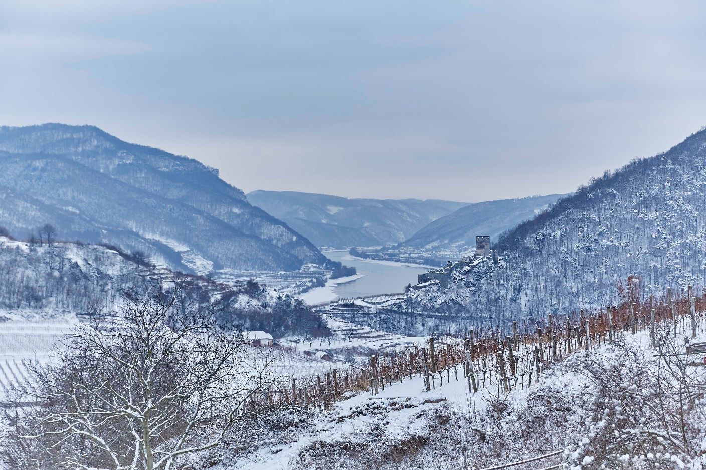 Spitz im Winter mit Ausblick auf die Donau