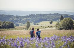 Inmitten der sanften Hügel und blühenden Wiesen genießen Wanderer die atemberaubende Aussicht auf die umliegende Landschaft. Die violetten Blüten der Wildblumen verleihen der Szenerie einen Hauch von Magie und laden dazu ein, die Ruhe der Natur zu erleben.