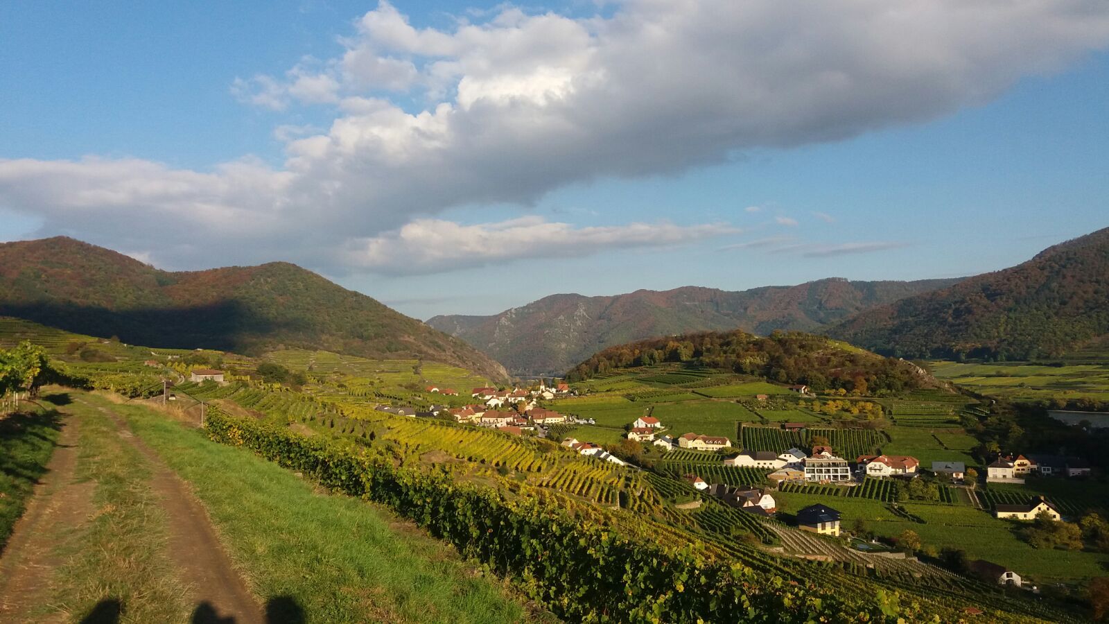 Spitzer Graben, am Panoramaweg