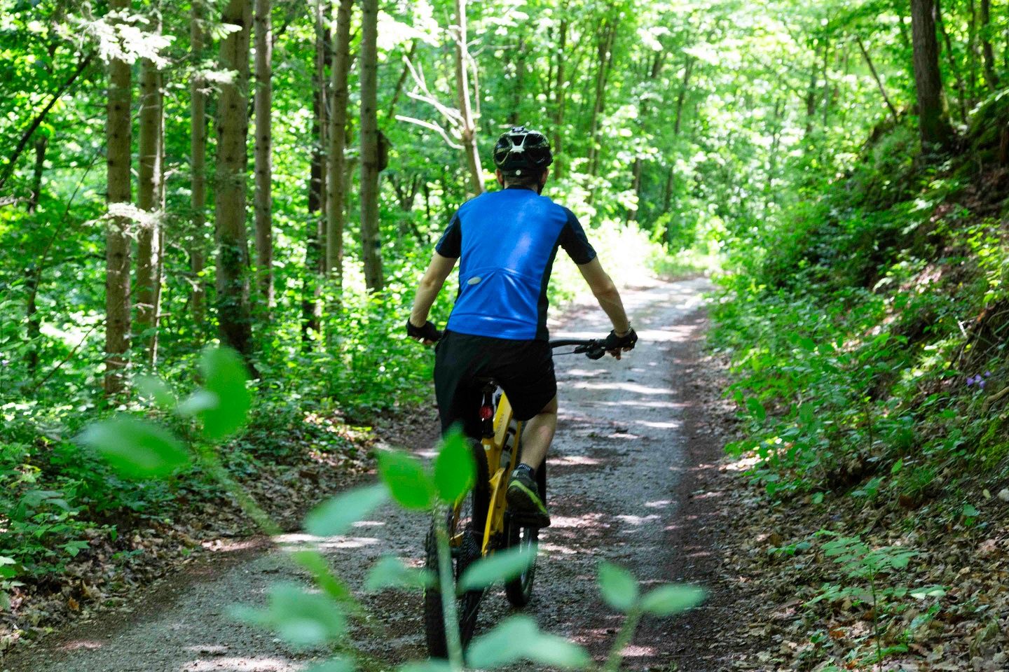 Mountainbiker genießt Ruhe und Stille im Wald