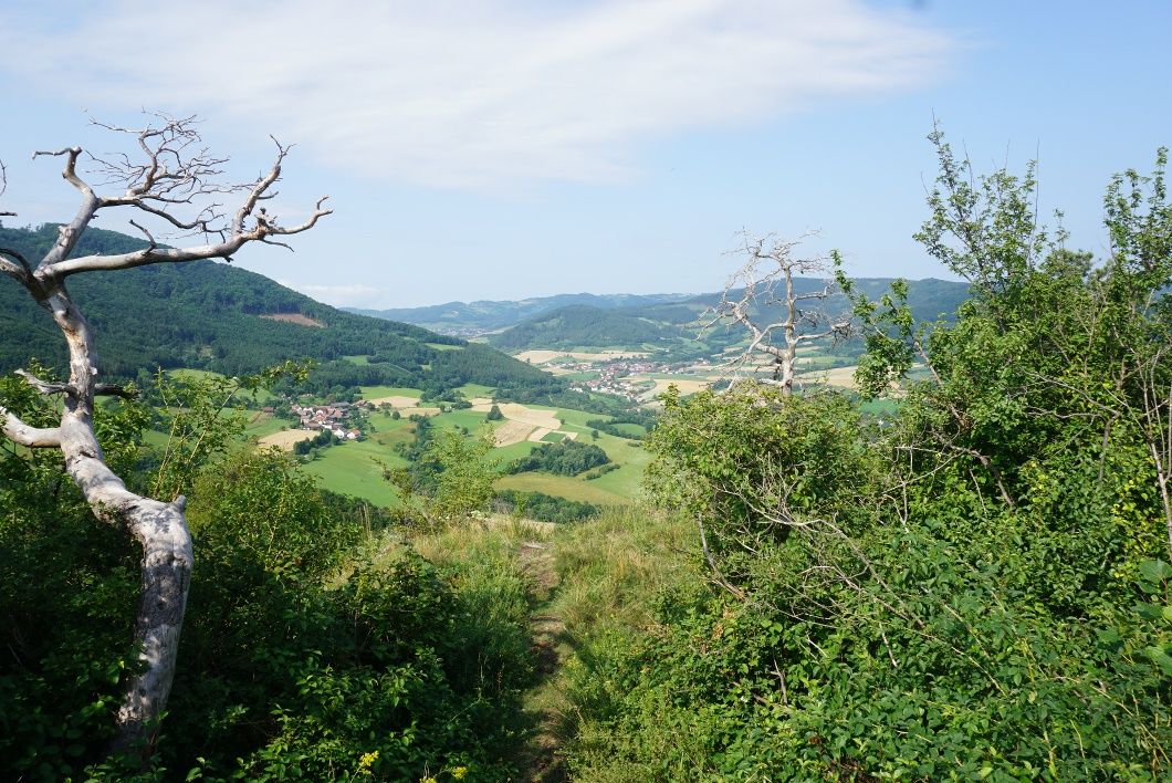 Jauerling-Runde 07: Mühldorf-Spitz