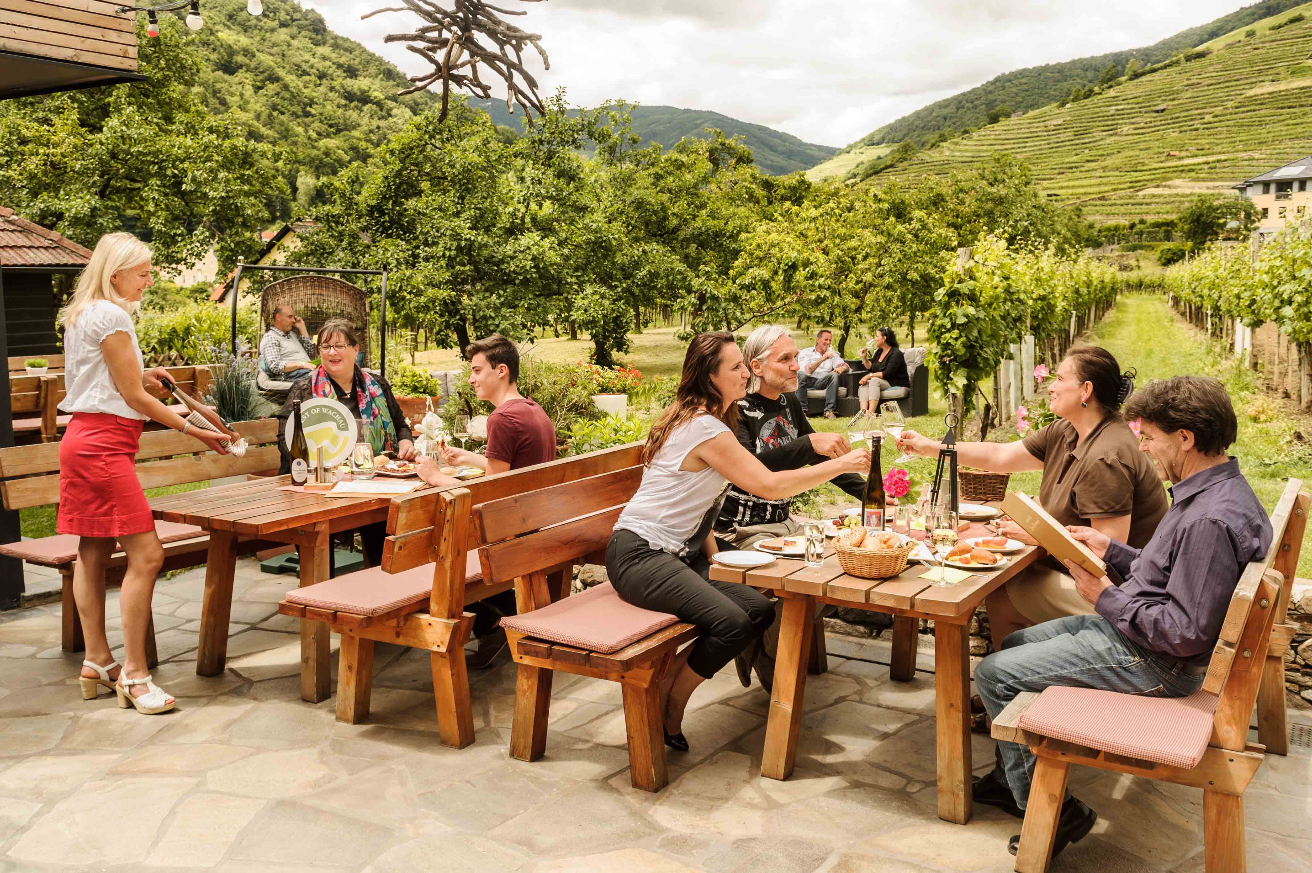 Menschen sitzen an Holztischen im Freien, umgeben von Weinbergen und Bäumen, während eine Kellnerin Getränke serviert.