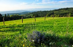 Die sanften Hügel des Naturparks Jauerling-Wachau erstrahlen im satten Grün, während bunte Wildblumen die Wiesen schmücken. Ein sanfter Wind weht durch die Landschaft und lädt dazu ein, die atemberaubende Aussicht auf die umliegenden Berge zu genießen. Hier, wo die Natur in voller Pracht blüht, findet jeder Besucher einen Ort der Ruhe und Inspiration.