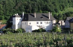 Das Große weiße Schloss Spitz. 