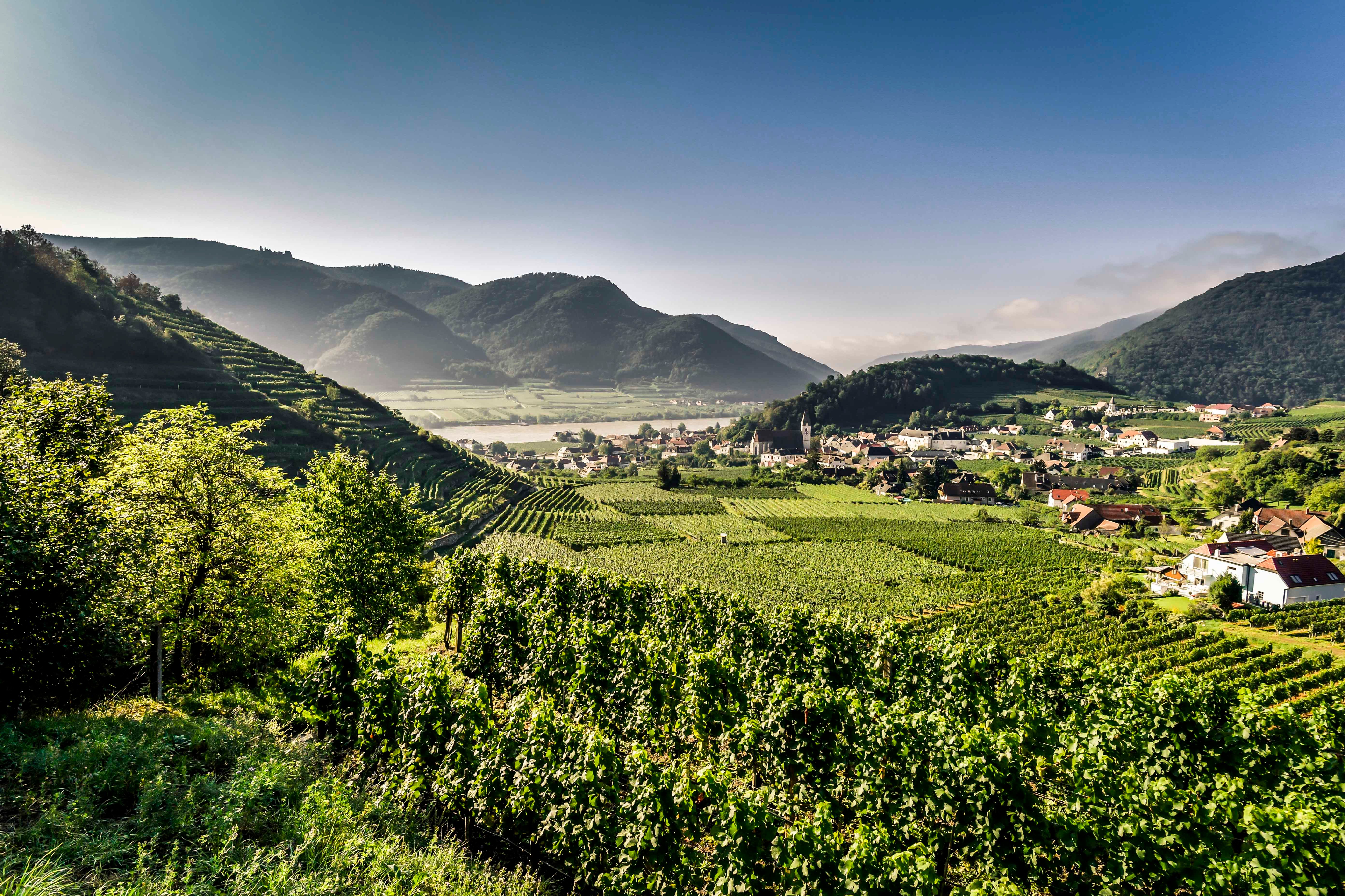 Spitz Panorama
