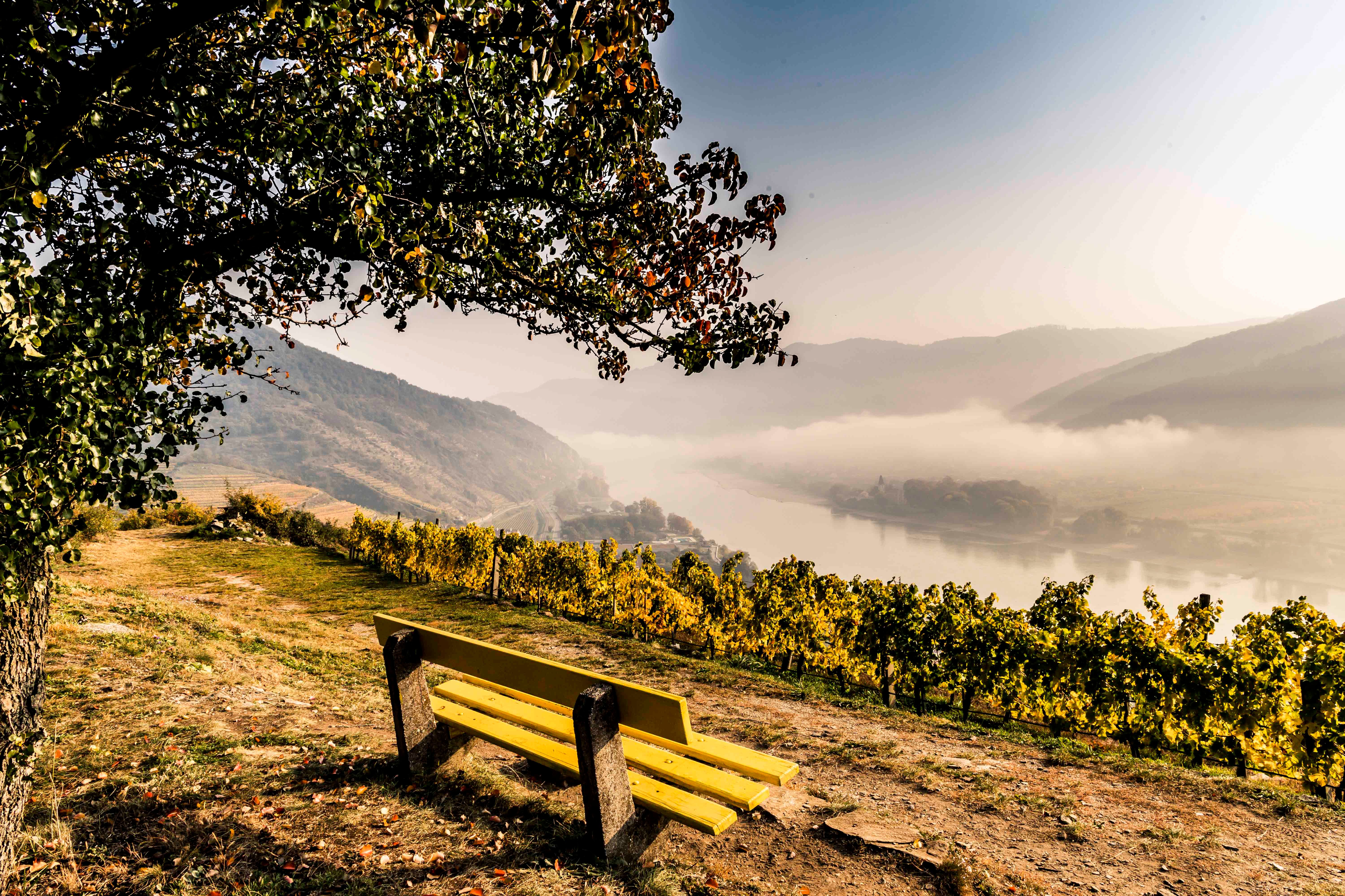 Rastplatz am Tausendeimerberg im herbstlichen Spitz