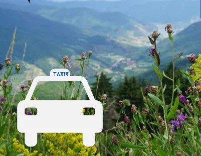 Webgrafik Jauerling-Sammeltaxi