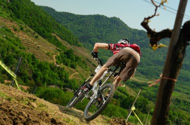 Cycling and mountain bike tours, © www.sportograf.com