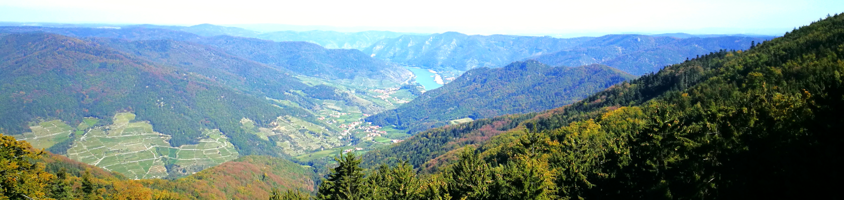 Am Dach der Donau - Ausblick von der Wachauterasse, © Naturpark Jauerling-Wachau