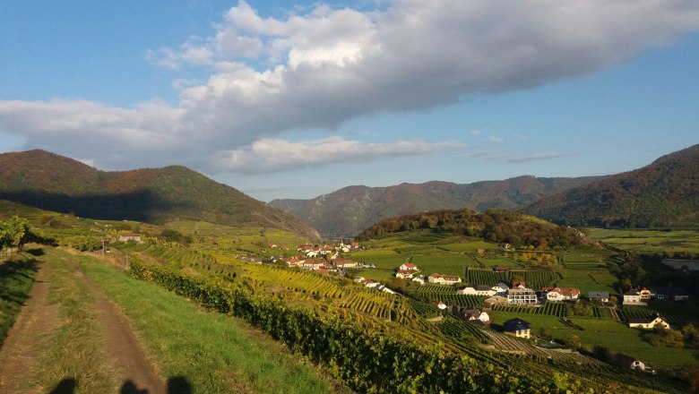 Spitzer Graben, on the panorama trail, © Donau NÖ Tourismus_HS