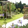 A sunny garden with white metal chairs, a table and flowering plants.