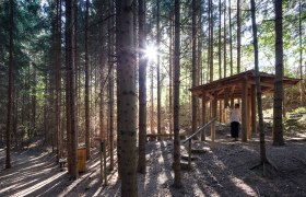 Power path in Maria Laach am Jauerling, &copy; Lachlan Blair