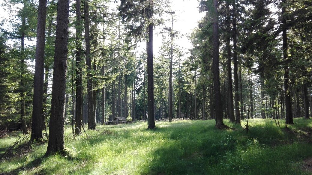 Hochplateau beim Jauerlinger Gipfel