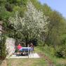 Two people are sitting at a table in the garden under a blossoming tree.